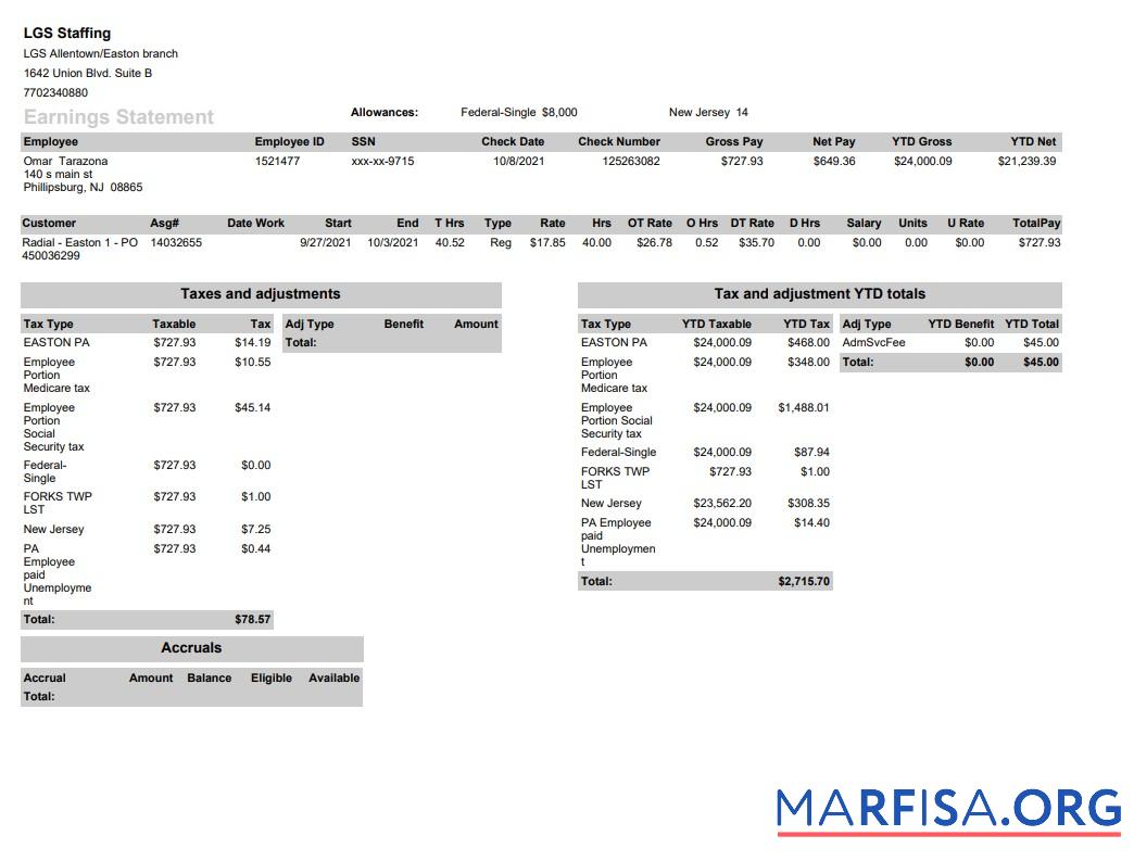 Printable LGS Staffing pay stub download for verification